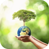 Home greenimg.webp